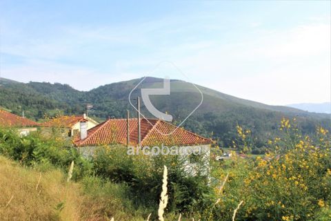 Terra a Ponte de Lima, Viana do Castelo, Ponte de Lima - € 20.000 | Ref: AV4459 - foto 8