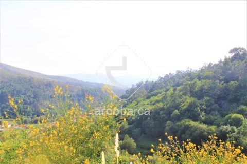 Terra a Ponte de Lima, Viana do Castelo, Ponte de Lima - € 20.000 | Ref: AV4459 - foto 9