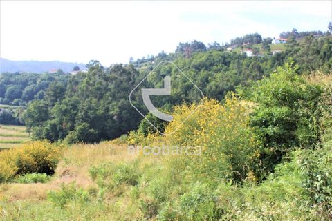 Terra a Ponte de Lima, Viana do Castelo, Ponte de Lima - € 20.000 | Ref: AV4459 - foto 11