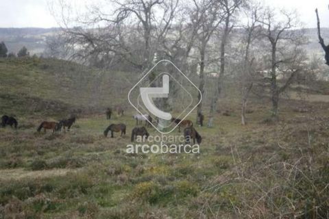 Helårsgrund i Arcos de Valdevez, Viana do Castelo, Arcos de Valdevez - € 19.500 | Ref: AV2937 - foto 3