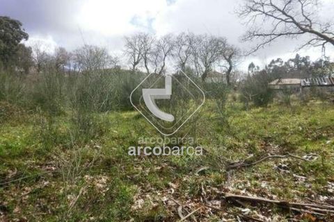 Helårsgrund i Arcos de Valdevez, Viana do Castelo, Arcos de Valdevez - € 19.500 | Ref: AV2937 - foto 5