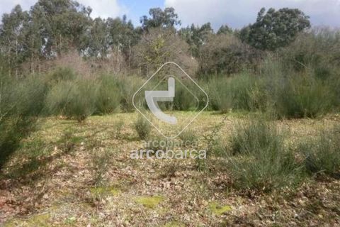 Helårsgrund i Arcos de Valdevez, Viana do Castelo, Arcos de Valdevez - € 19.500 | Ref: AV2937 - foto 6