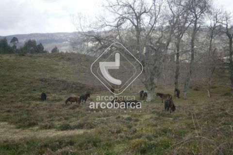 Helårsgrund i Arcos de Valdevez, Viana do Castelo, Arcos de Valdevez - € 19.500 | Ref: AV2937 - foto 7