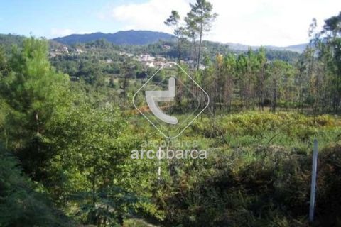 Terra a Arcos de Valdevez, Viana do Castelo, Arcos de Valdevez - € 95.000 | Ref: AV2839 - foto 4