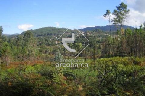 Terra a Arcos de Valdevez, Viana do Castelo, Arcos de Valdevez - € 95.000 | Ref: AV2839 - foto 5