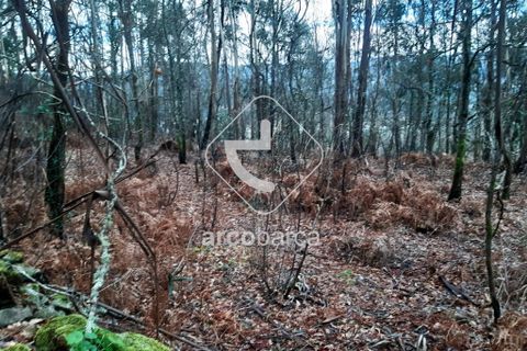 Terra a Arcos de Valdevez, Viana do Castelo, Arcos de Valdevez - € 25.000 | Ref: AV2131 - foto 3