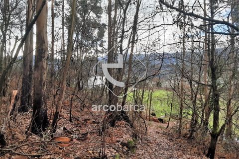 Terra a Arcos de Valdevez, Viana do Castelo, Arcos de Valdevez - € 25.000 | Ref: AV2131 - foto 7