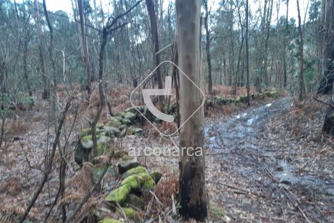 Terra a Arcos de Valdevez, Viana do Castelo, Arcos de Valdevez - € 25.000 | Ref: AV2131 - foto 10