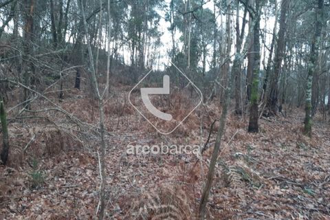 Terra a Arcos de Valdevez, Viana do Castelo, Arcos de Valdevez - € 25.000 | Ref: AV2131 - foto 11