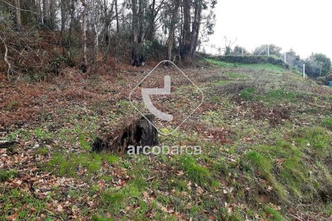 Terra a Arcos de Valdevez, Viana do Castelo, Arcos de Valdevez - € 25.000 | Ref: AV2131 - foto 14