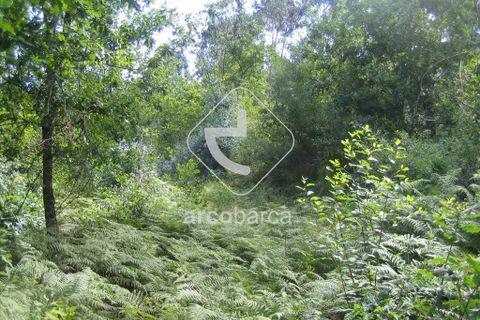 Terra a Arcos de Valdevez, Viana do Castelo, Arcos de Valdevez - € 25.000 | Ref: AV2131 - foto 8