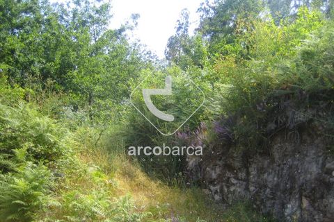 Terra a Arcos de Valdevez, Viana do Castelo, Arcos de Valdevez - € 25.000 | Ref: AV2131 - foto 9
