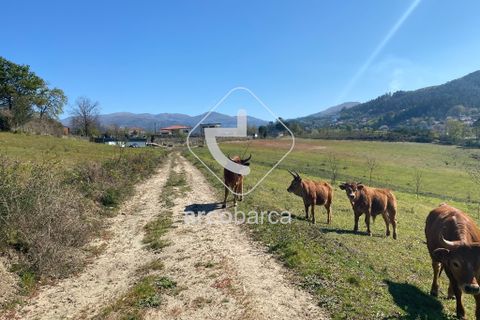 Terra a Arcos de Valdevez, Viana do Castelo, Arcos de Valdevez - € 280.000 | Ref: AV4113 - foto 2