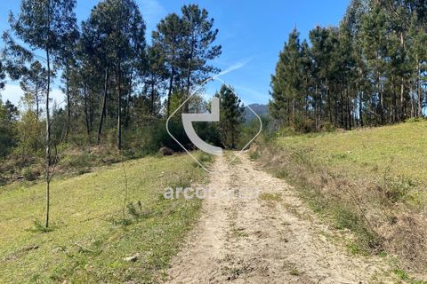 Terra a Arcos de Valdevez, Viana do Castelo, Arcos de Valdevez - € 280.000 | Ref: AV4113 - foto 3