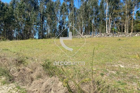 Terra a Arcos de Valdevez, Viana do Castelo, Arcos de Valdevez - € 280.000 | Ref: AV4113 - foto 4