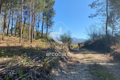 Terra a Arcos de Valdevez, Viana do Castelo, Arcos de Valdevez - € 280.000 | Ref: AV4113 - foto 5
