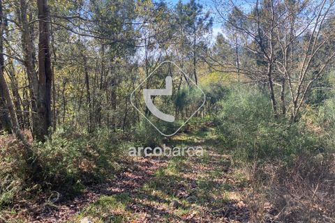 Terra a Arcos de Valdevez, Viana do Castelo, Arcos de Valdevez - € 280.000 | Ref: AV4113 - foto 6