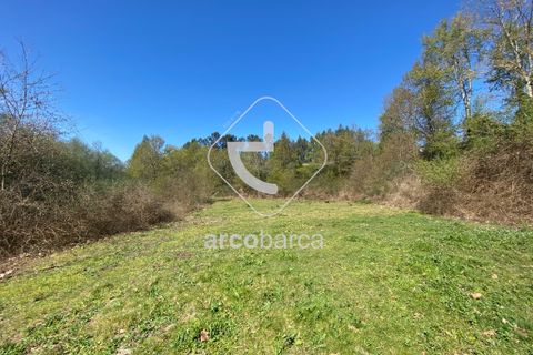 Terra a Arcos de Valdevez, Viana do Castelo, Arcos de Valdevez - € 280.000 | Ref: AV4113 - foto 11