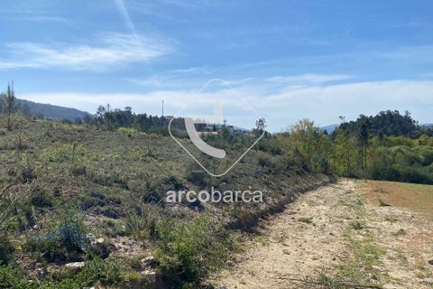Terra a Arcos de Valdevez, Viana do Castelo, Arcos de Valdevez - € 280.000 | Ref: AV4113 - foto 15