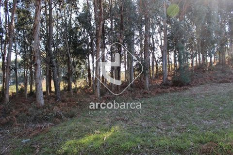 Helårsgrund i Ponte da Barca, Viana do Castelo, Ponte da Barca - € 35.000 | Ref: AV4116 - foto 2