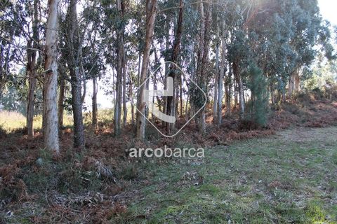 Helårsgrund i Ponte da Barca, Viana do Castelo, Ponte da Barca - € 35.000 | Ref: AV4116 - foto 3