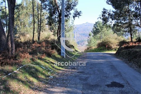 Tomt i Ponte da Barca, Viana do Castelo, Ponte da Barca - € 25 000 | Ref: AV4117 - foto 2