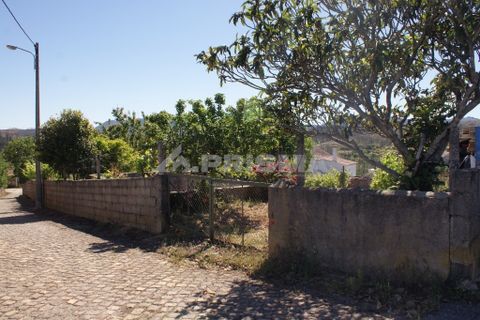 Helårsgrund i Castelo Branco, Castelo Branco, Castelo Branco - € 25.000 | Ref: PP3116 - foto 2