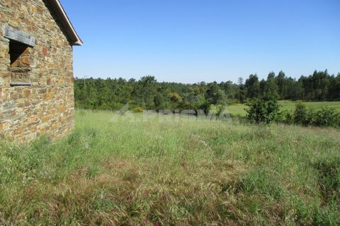 Helårsgrund i Castelo Branco, Castelo Branco, Castelo Branco - € 128.000 | Ref: PP3113 - foto 2