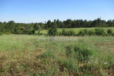 Helårsgrund i Castelo Branco, Castelo Branco, Castelo Branco - € 128.000 | Ref: PP3113 - foto 3
