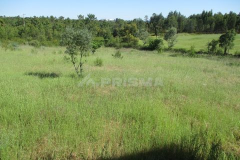 Helårsgrund i Castelo Branco, Castelo Branco, Castelo Branco - € 128.000 | Ref: PP3113 - foto 7