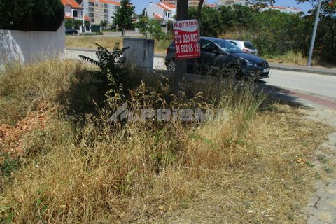 Helårsgrund i Castelo Branco, Castelo Branco, Castelo Branco - € 45.000 | Ref: PP2902 - foto 2