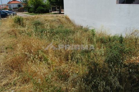 Helårsgrund i Castelo Branco, Castelo Branco, Castelo Branco - € 45.000 | Ref: PP2902 - foto 3