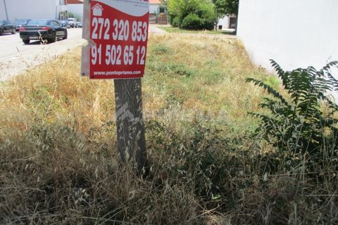 Helårsgrund i Castelo Branco, Castelo Branco, Castelo Branco - € 45.000 | Ref: PP2902 - foto 4