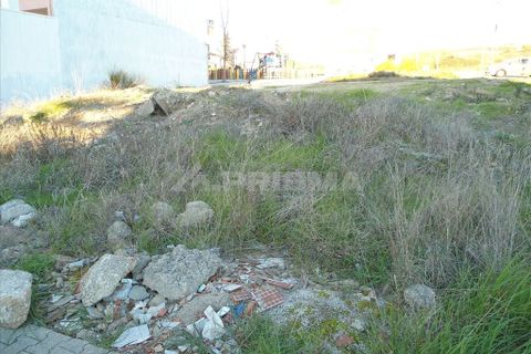 Helårsgrund i Castelo Branco, Castelo Branco, Castelo Branco - € 65.000 | Ref: PP038/T/11 - foto 3