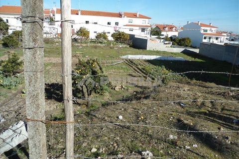 Helårsgrund i Castelo Branco, Castelo Branco, Castelo Branco - € 65.000 | Ref: PP133/T/12C - foto 8