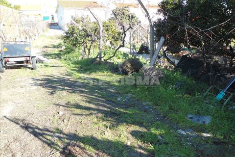 Helårsgrund i Castelo Branco, Castelo Branco, Castelo Branco - € 75.000 | Ref: PP133/T/12 - foto 4