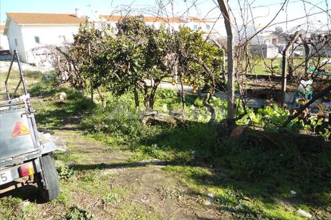 Helårsgrund i Castelo Branco, Castelo Branco, Castelo Branco - € 75.000 | Ref: PP133/T/12 - foto 5