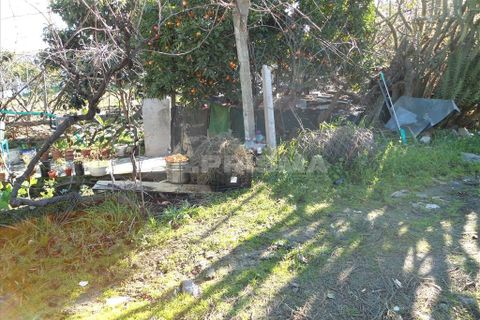 Helårsgrund i Castelo Branco, Castelo Branco, Castelo Branco - € 75.000 | Ref: PP133/T/12 - foto 6