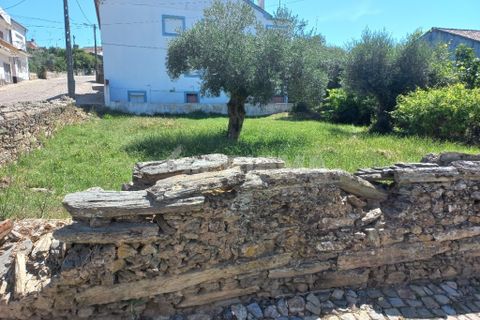 Helårsgrund i Castelo Branco, Castelo Branco, Castelo Branco - € 20.000 | Ref: PP3713 - foto 2