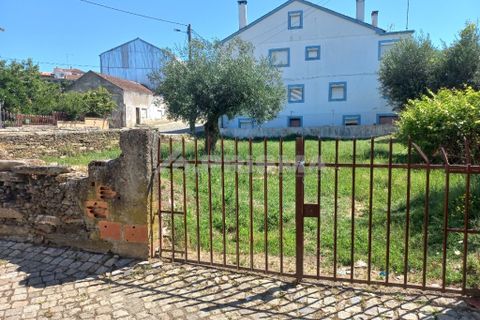 Helårsgrund i Castelo Branco, Castelo Branco, Castelo Branco - € 20.000 | Ref: PP3713 - foto 3