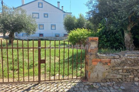 Helårsgrund i Castelo Branco, Castelo Branco, Castelo Branco - € 20.000 | Ref: PP3713 - foto 4