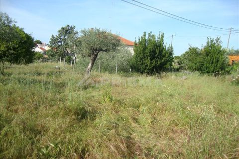 Helårsgrund i Castelo Branco, Castelo Branco, Castelo Branco - € 60.000 | Ref: PP278/T/12 - foto 2