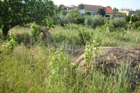 Helårsgrund i Castelo Branco, Castelo Branco, Castelo Branco - € 60.000 | Ref: PP278/T/12 - foto 4