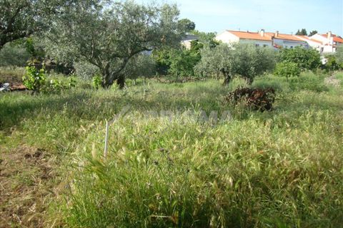 Helårsgrund i Castelo Branco, Castelo Branco, Castelo Branco - € 60.000 | Ref: PP278/T/12 - foto 5
