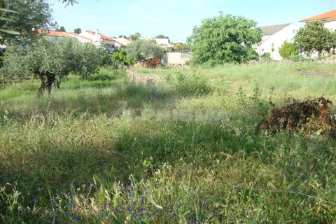 Helårsgrund i Castelo Branco, Castelo Branco, Castelo Branco - € 60.000 | Ref: PP278/T/12 - foto 6