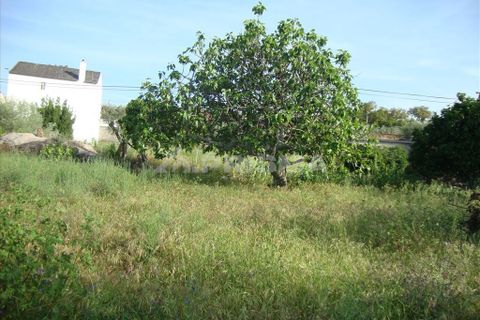 Helårsgrund i Castelo Branco, Castelo Branco, Castelo Branco - € 60.000 | Ref: PP278/T/12 - foto 7