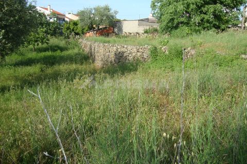 Helårsgrund i Castelo Branco, Castelo Branco, Castelo Branco - € 60.000 | Ref: PP278/T/12 - foto 8