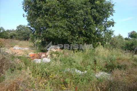 Helårsgrund i Castelo Branco, Castelo Branco, Castelo Branco - € 40.000 | Ref: PP357/T/12 - foto 3