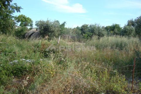 Helårsgrund i Castelo Branco, Castelo Branco, Castelo Branco - € 40.000 | Ref: PP357/T/12 - foto 6