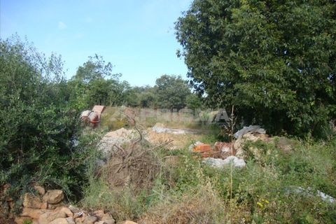 Helårsgrund i Castelo Branco, Castelo Branco, Castelo Branco - € 40.000 | Ref: PP357/T/12 - foto 8